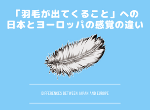 「羽毛が出てくること」への日本とヨーロッパの感覚の違い